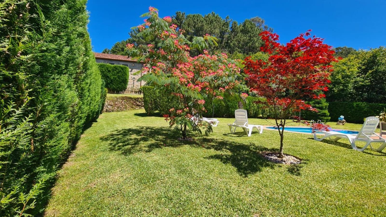Casa Rural O Carballo Da Pedra La Caniza Buitenkant foto